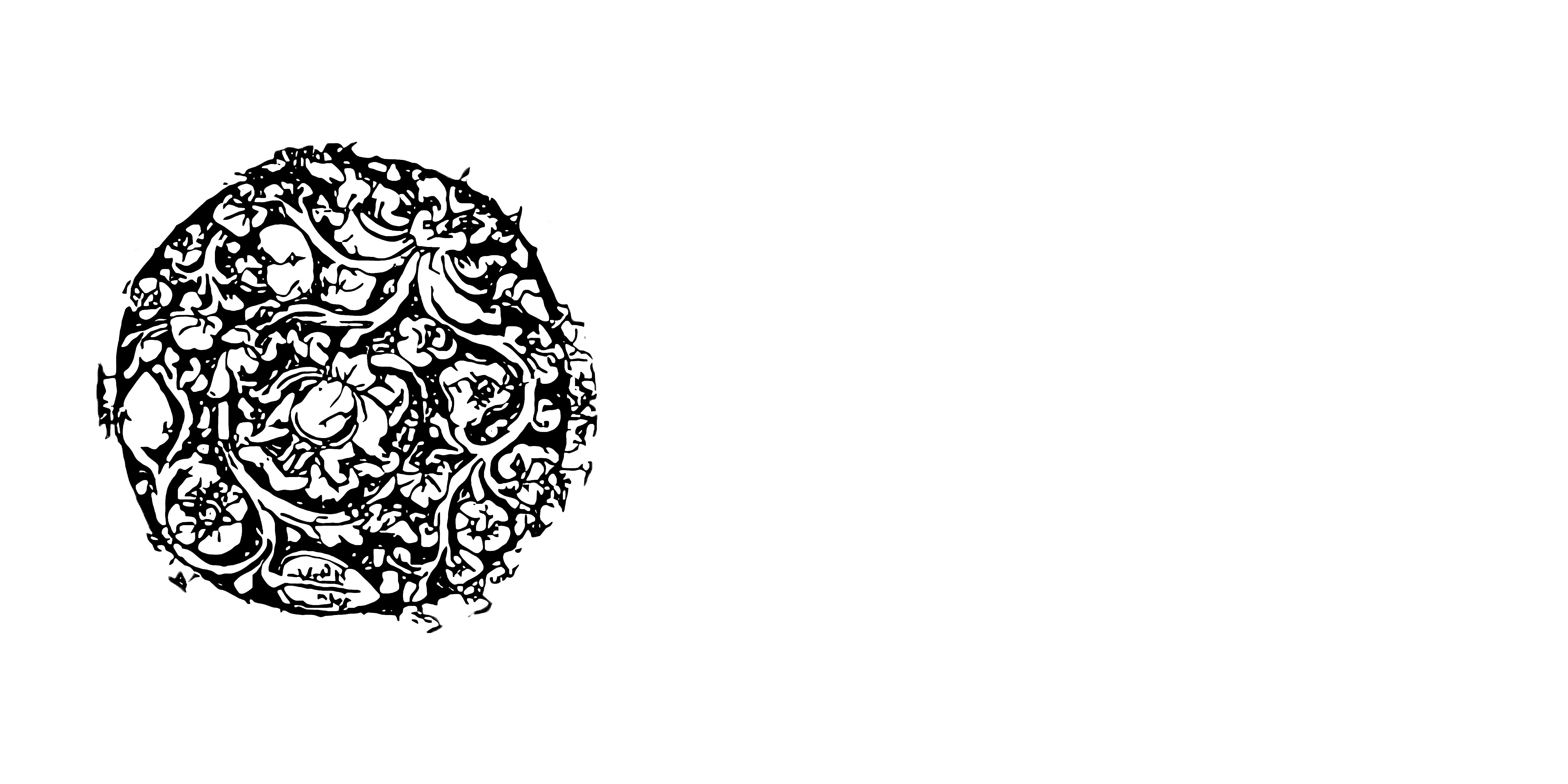 RumaJapara